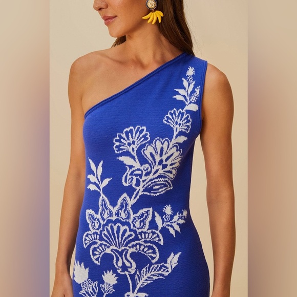 Farm Rio: Blue Garden Knit Midi Dress Beautiful Blue! - Picture 13 of 13